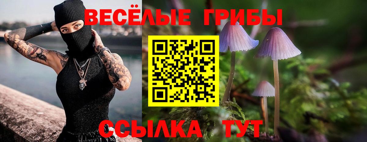 Старая Русса  Псилоцибиновые грибы мицелий  Вход с VPN 